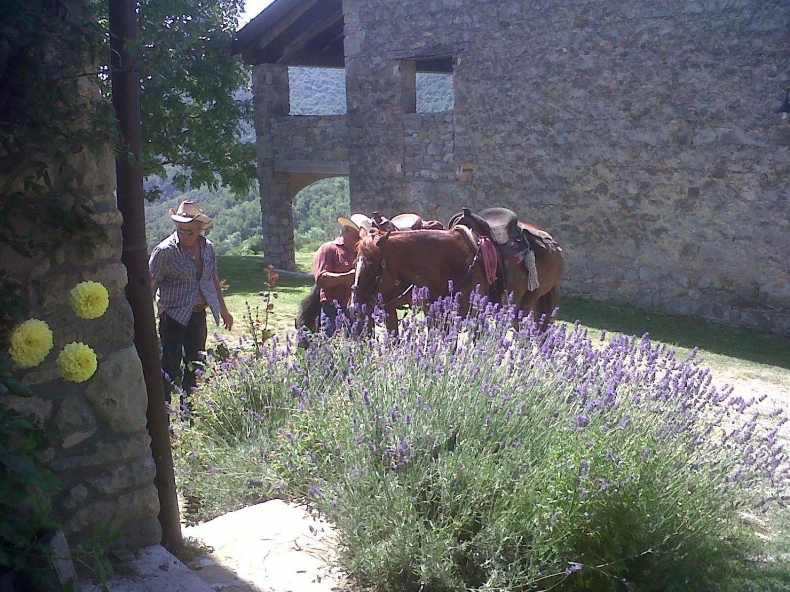 La Piana Dei Castagni Villa Castel d'Aiano ภายนอก รูปภาพ